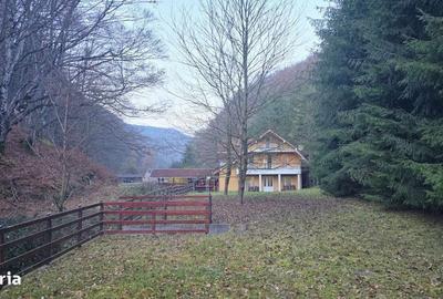 Casă cu 4 camere cu Teren 1200 Mp în Bratca - 7