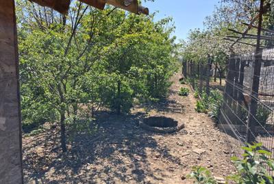 Casă cu 2 camere în Cornești - 2