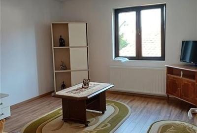 2 Case de vanzare langa liceu in Talmaciu - 12
