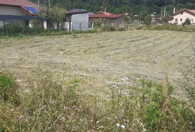 Spațiu comercial, în Balotești - 1