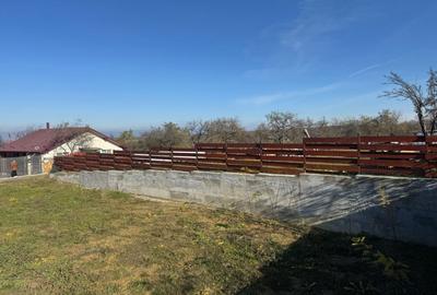 Vanzare  1400mp teren imprejmuit 2 loturi pt casa Adancata - sub padure - 11