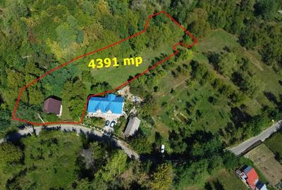 Casa la ro?u + 4391 mp teren de vanzare in comuna Valea Danului, sat Borobane?ti, jude? Arge?. - 9