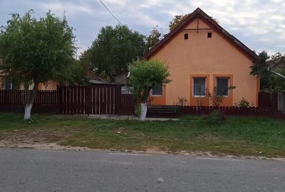 Casă în Șepreuș - 6
