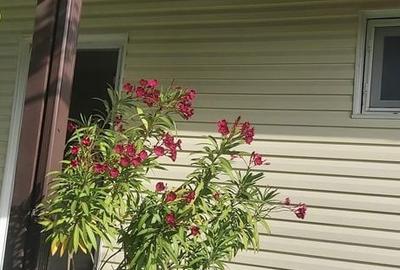 Casă cu 3 camere în Gorneni - 5