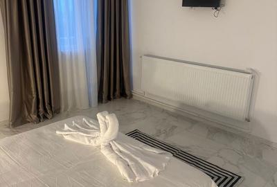 Apartament cu 2 camere în Dudovicești - 10