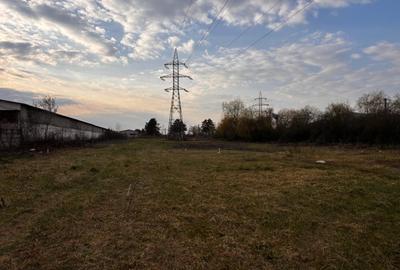 Teren Construcții intravilan de 6500 mp, în Sud - 2