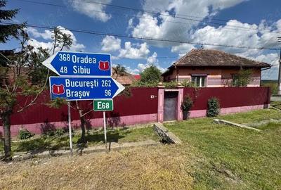 Casă cu Teren 1800 Mp în Arpașu de Jos