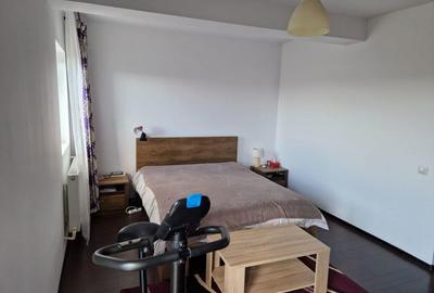 Apartament cu 3 camere decomandat în Valea Lupului - 5