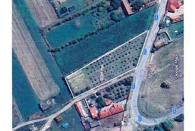 Teren de 2595 mp, în Bogata Olteană