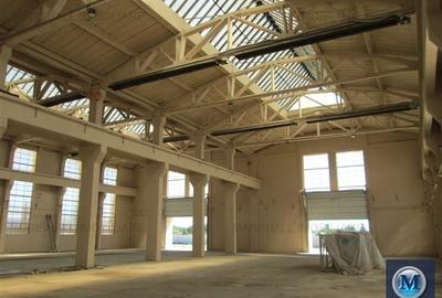 Spatiu industrial de inchiriat in Boldesti-Scaeni, zona Sud, 1948 mp #10186 - 4