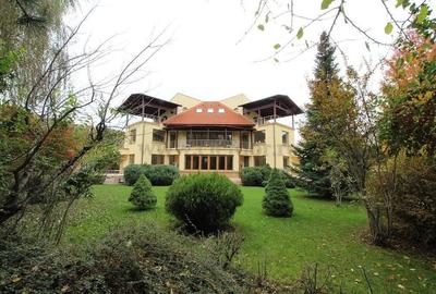 Vilă Individuala cu gradina de 2000mp în zona Iancu Nicolae - 3