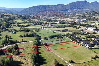 Teren Construcții intravilan de 6648 mp, în Tohanu Nou - 4