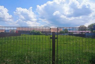 Teren de 4400 mp, în Cărpiniș - 5