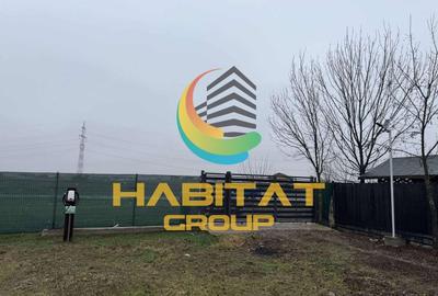 Teren Construcții intravilan de 3971 mp, în Berceni - 9