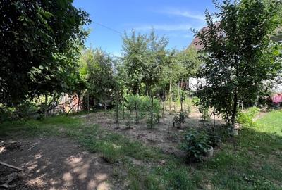 COMISION 0!!!Casa individuala,635mp teren ,cart. Zorilor, Cluj Napoca - 3