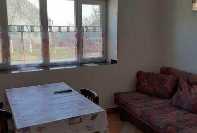 Casă cu 2 camere în Sintea Mare - 2