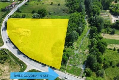 TEREN COMERCIAL, LOGISTIC SAU PARCELABIL - 10.176 Mp - 4