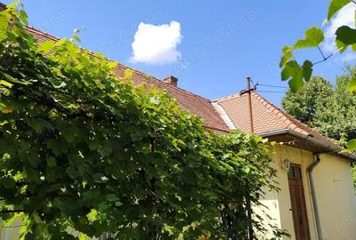 Casă cu 6 camere în Central - 5