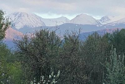 Teren de 6000 mp, în Cârnești - 3