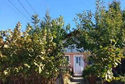 Casă cu 4 camere în Bucium - 2