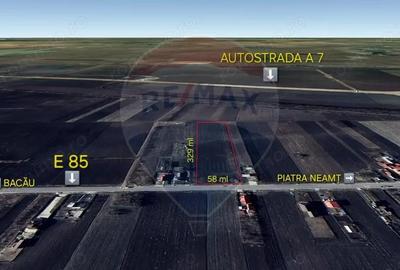 Teren 19,100mp Secuienii Noi / None - 1