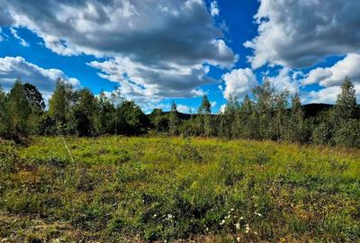 Vand teren in zona Fagaras, ideal refugiu vacanta/Comision 0 % - 10