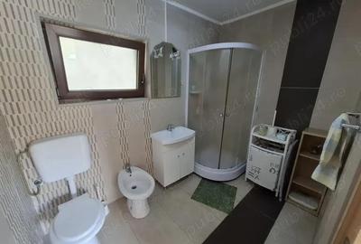 Str. Valea Rosie proprietate compusa din 2 imobile, casa P+M si una pe parter - 4