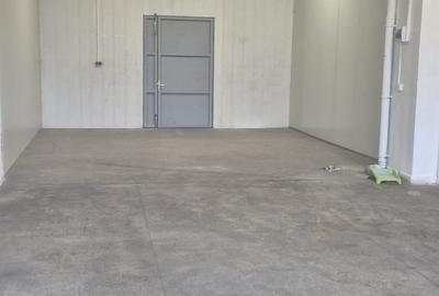 Spațiu industrial, de 270 mp, în Theodor Pallady - 5