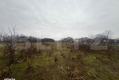 Spațiu comercial, în Robănești - 3