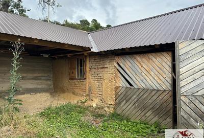 Casa de vanzare in comuna Sasciori cu 84.843 mp teren - 6