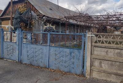 Casa de vanzare cu teren de 10 arii - 1