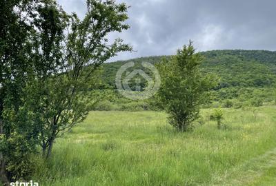 Teren de 650 mp, în Poplaca - 3