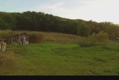 Casă de vânzare - 1