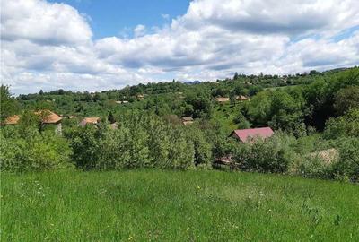 Spațiu comercial, în Sohodol - 2