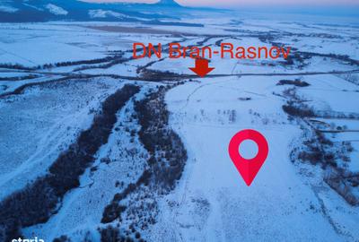 Teren de 5000 mp, în Pănicel