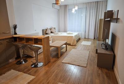 Iancu Nicolae/Residence 5 /Studio elegant / - 6