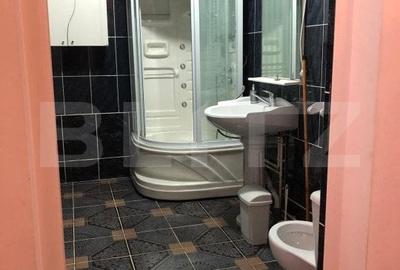 Casa de vanzare, cu 7 camere, 350 mp u & 2850 mp teren - 7