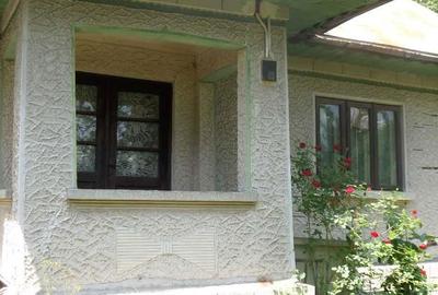 Casă cu 2 camere în Breaza - 4