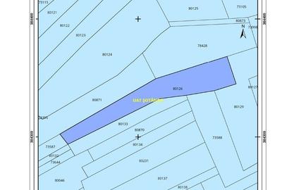 Teren de 5268 mp, în Șotânga - 5