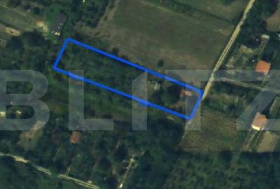 Teren de 2366 mp, în Bercu Roșu - 5