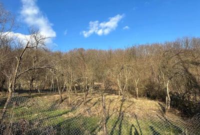 Spațiu comercial, în Cărbunești - 1