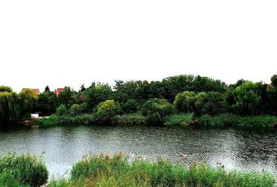 Duplex cu iesire la lac - 5 camere -Corbeanca, central - 6