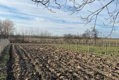 Teren Intravilan 1300mp - 3