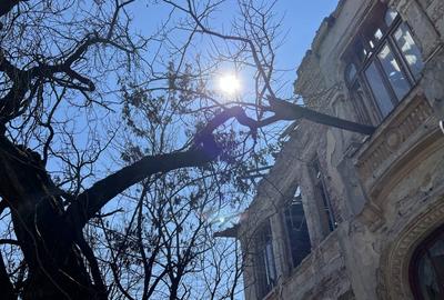 Imobil  Ultracentral ! - 1