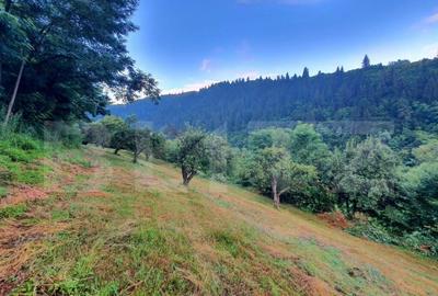 Teren intravilan, 31 ari, Ilva Mica, zona montana - 9