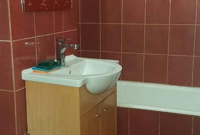 Timisoara, Romancierilor - 3