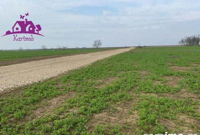 Teren industrial pentru hale - 3