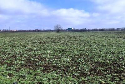 Spațiu comercial, în Nord