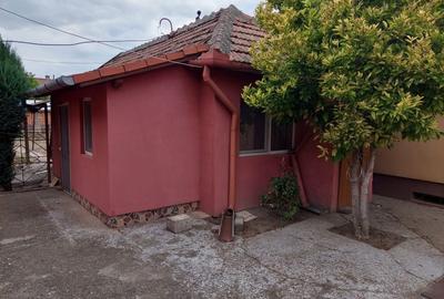 Casă cu 4 camere în Sânnicolau Mare - 4