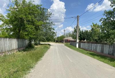 Casă cu Teren 1030 Mp în Ograda - 2